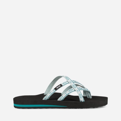 Teva Olowahu - Women's Teva Flip Flops - Grey | India (JYXA25046)